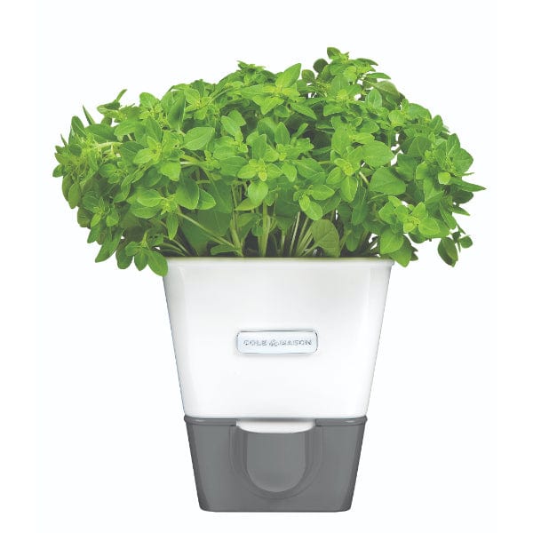 Cole & Mason Self-Watering Potted Herb Keeper