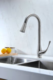 Singer Series Single-Handle Pull-Down Sprayer Kitchen Faucet