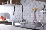 Apollo Single Handle Pull-Down Sprayer Kitchen Faucet in Polished Chrome