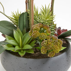 CG Hunter Artificial Orchid with Succulents