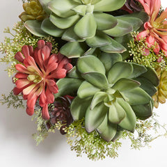 CG Hunter Artificial Succulent Arrangement - Round