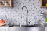 Apollo Single Handle Pull-Down Sprayer Kitchen Faucet in Polished Chrome