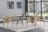 Madelyn - Dining Chair (Set of 2) - Brushed Chrome