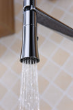 Accent Single Handle Pull-Down Sprayer Kitchen Faucet