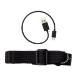 MF5P Portable Voice Amplifier