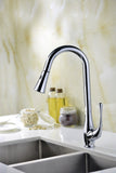 Singer Series Single-Handle Pull-Down Sprayer Kitchen Faucet