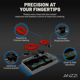 Aurora Series 14 in. 2 Elements Glass Top Induction Cooktop in Black with 1800W, Auto-Off, and Child Safety Lock