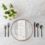 Arezzo Brushed Black 5pc Place Setting