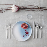 Arezzo Brushed 5pc Place Setting