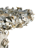 Oyster Shell Large Bird Bath