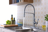 Accent Single Handle Pull-Down Sprayer Kitchen Faucet