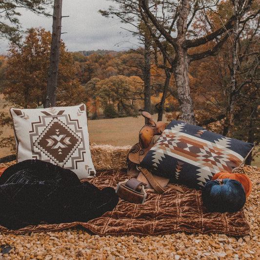 Dakota Indoor/Outdoor Pillow