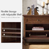 Wladimir 1-Drawer Nightstand-WALNUT