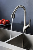 Accent Series Single-Handle Pull-Down Sprayer Kitchen Faucet in Brushed Nickel