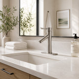 Saga Series Single Hole Single-Handle Low-Arc Bathroom Faucet in Brushed Nickel