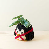 Penguin Planter - Coco Coir Pot | LIKHÂ