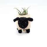 Baby Sheep Planter - Coco Coir Pots | LIKHÂ