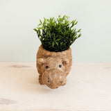 Hippo Planter - Coco Planter | LIKHÂ