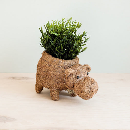 Hippo Planter - Coco Planter | LIKHÂ