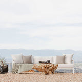 Pure Root Coffee Table 800