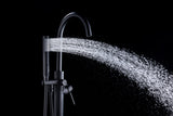 Coral Series 2-Handle Freestanding Tub Faucet with 60 in. Euro-Grip Hand Sprayer