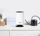 Hugo 3-in-1 Air Purifier