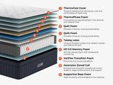 ThermoBalance LX