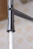 Accent Single Handle Pull-Down Sprayer Kitchen Faucet