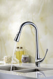Singer Series Single-Handle Pull-Down Sprayer Kitchen Faucet